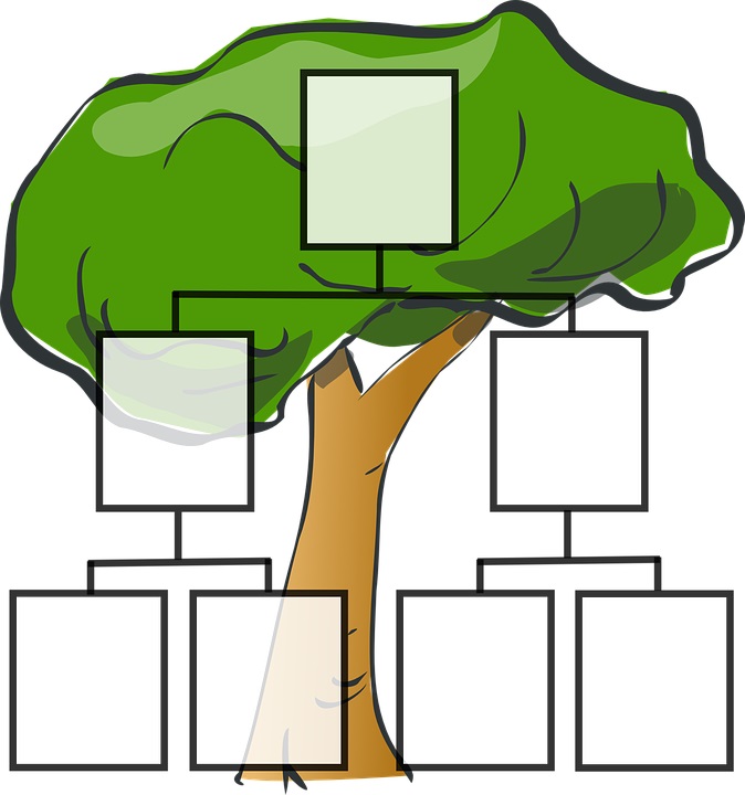 cómo hacer un árbol genealógico